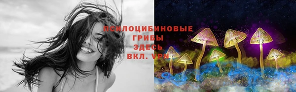 СК Горнозаводск