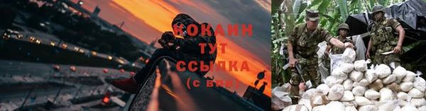 ешки Гусь-Хрустальный