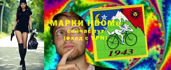 твердый Горняк