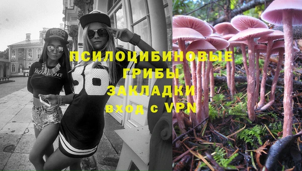 твердый Горняк